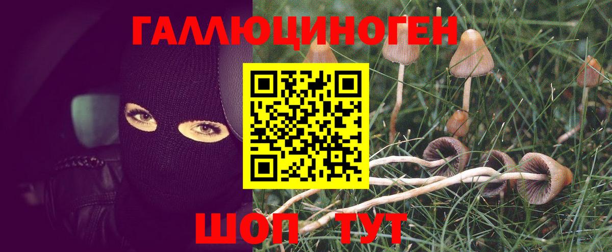 Ханты-Мансийск  Псилоцибиновые грибы мухоморы  купить наркотики сайты  Псилоцибиновые грибы Psilocybe  Вход с VPN 